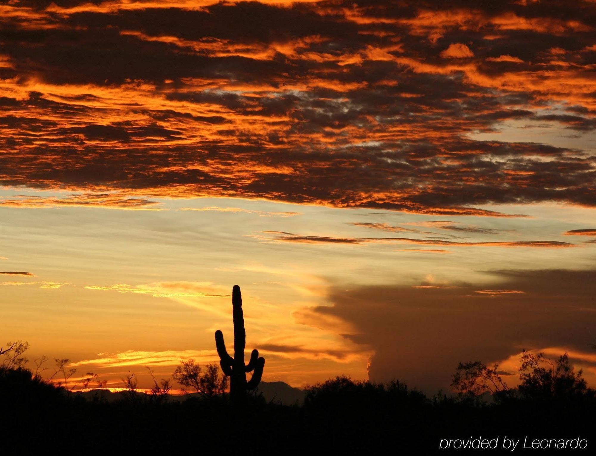 Sonesta Simply Suites Phoenix Glendale Esterno foto